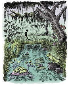 Lost in the Swamp