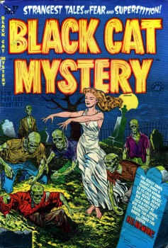 BlackCatMystery