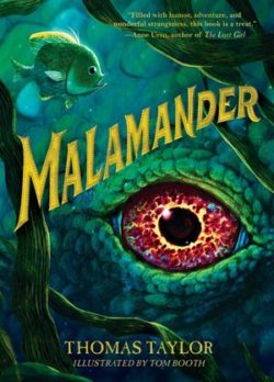 malamander book series malamander book series